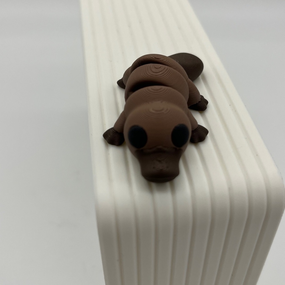 3D printed Platypus mini Fidget Toy Fun Collectible Stress …